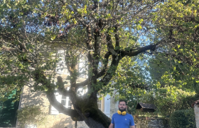 Elagueur Magnac‑sur‑Tourves